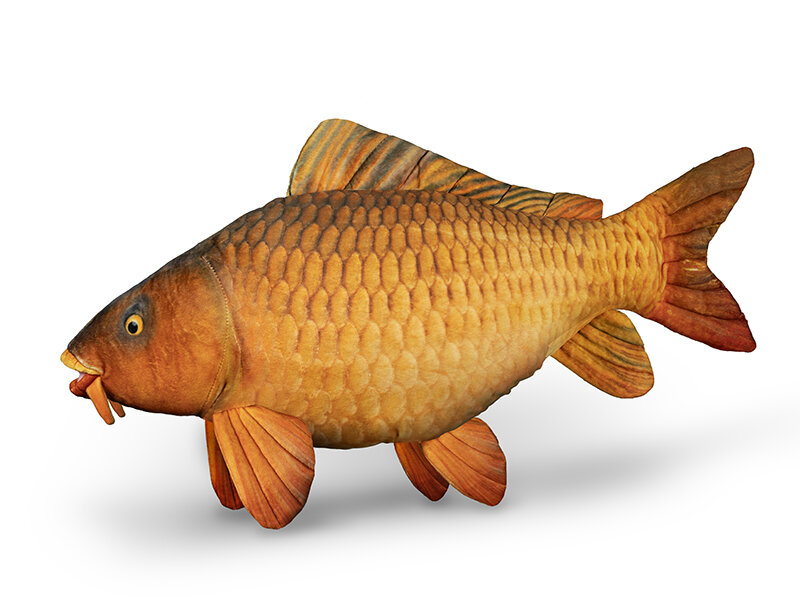 Plyšový kapor Delphin CARPY | 60 cm